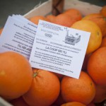 SOTTOSCRIVI LA PETIZIONE ALLA COOP