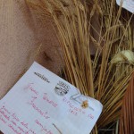 Racconto di un giorno con la Cooperativa IRIS